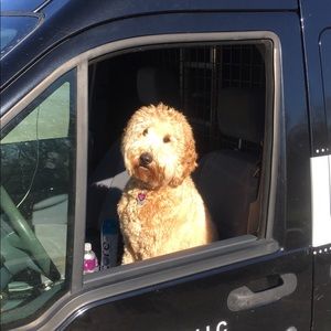 Meet your Posher, Chris